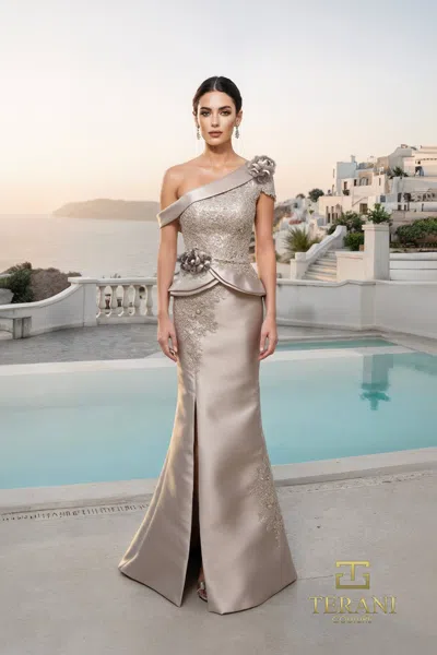 Terani Couture 261m6408 Long Formal Lace Evening Dress In Gray