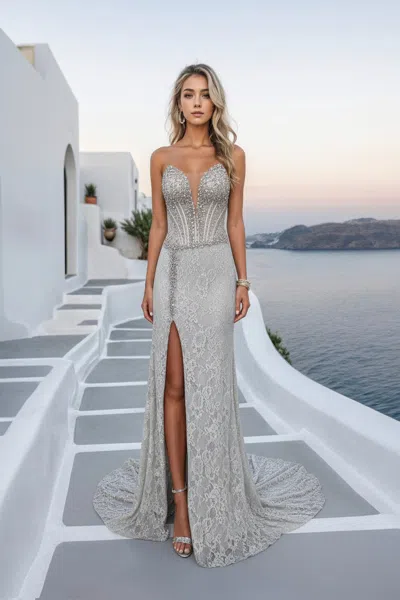Terani Couture 261p6118 Long Formal Fitted Corset Lace Prom Dress In Silver
