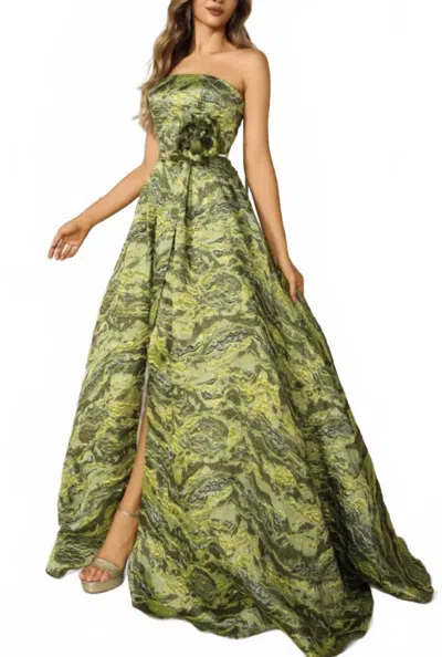 Terani Couture 251e4269 Long Prom Ball Gown 3d Floral Applique Formal Evening Dress In Multi