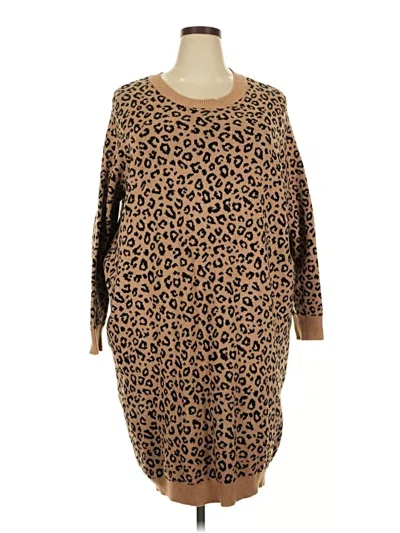 Pre-owned Terra & Sky Casual Dress In Brown