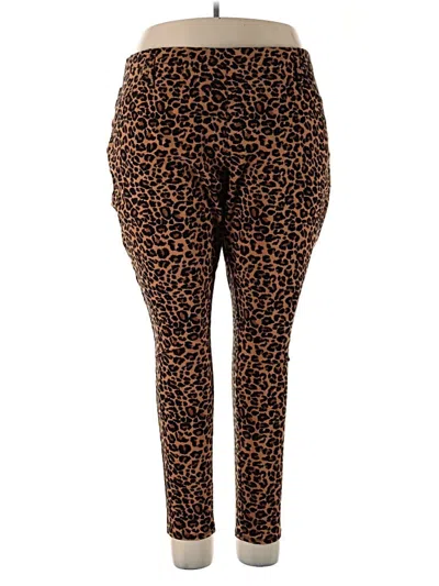 Pre-owned Terra & Sky Casual Pants In Brown
