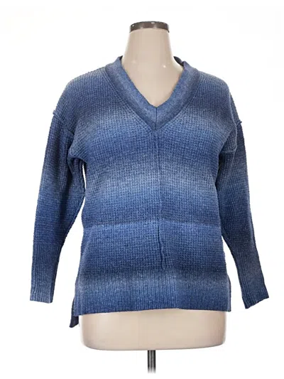 Pre-owned Terra & Sky Pullover Sweater In Blue
