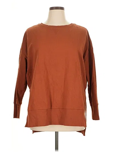 Pre-owned Terra & Sky Sweatshirt In Brown