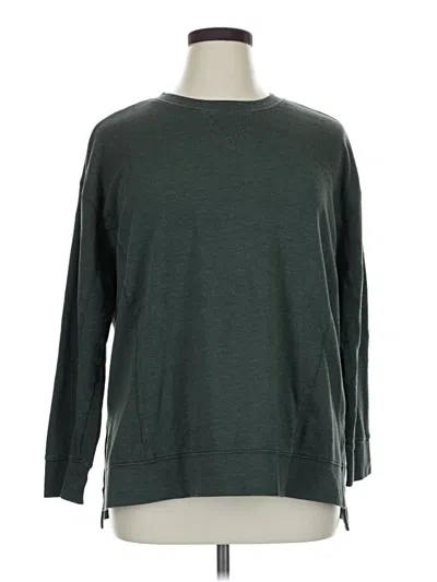 Pre-owned Terra & Sky Sweatshirt In Green