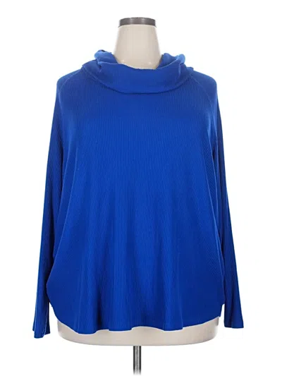 Pre-owned Terra & Sky Turtleneck Sweater In Blue