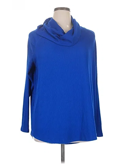 Pre-owned Terra & Sky Turtleneck Sweater In Blue