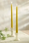 Terrain 12" Taper Candles, Set Of 2 In Yellow
