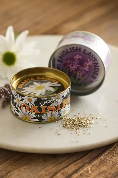 Terrain Floral Seed Grow Set