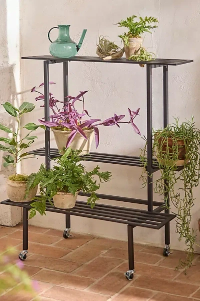 Terrain 3-tier Rolling Iron Plant Stand In Brown