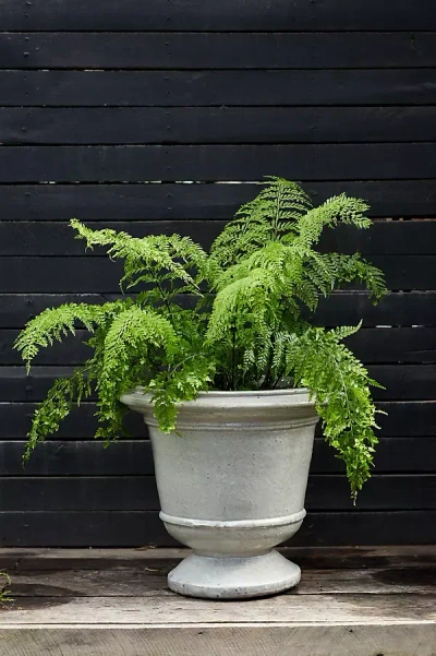 Terrain Aeros Ceramic Urn, 23" In Multi