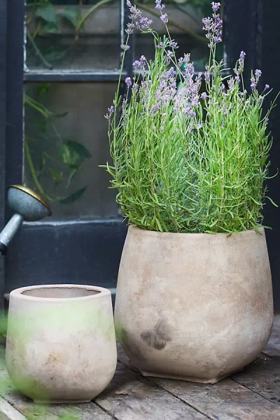 Terrain Aged Ceramic Planter, 12" In Multi