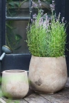 Terrain Aged Ceramic Planter, 8"