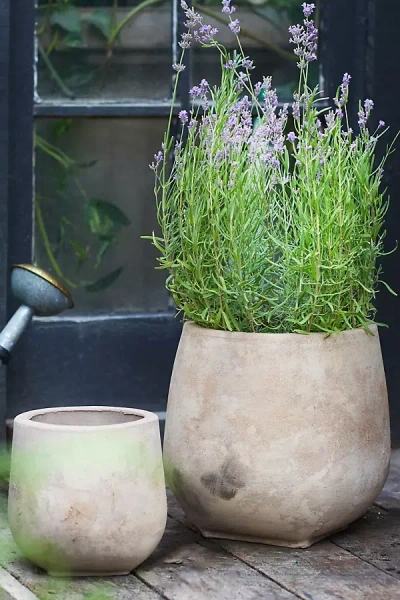 Terrain Aged Ceramic Planter, 8" In Multi