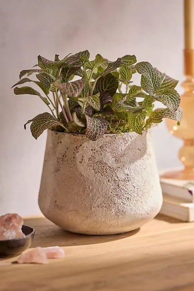 Terrain Aged Iron Droplet Pot In Neutral
