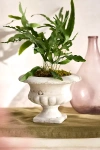 Terrain Aged Terracotta Urn