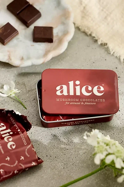 Terrain Alice Pleasure Mushroom Chocolates