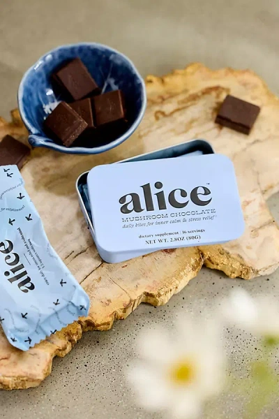 Terrain Alice Zen Mushroom Chocolates In Brown