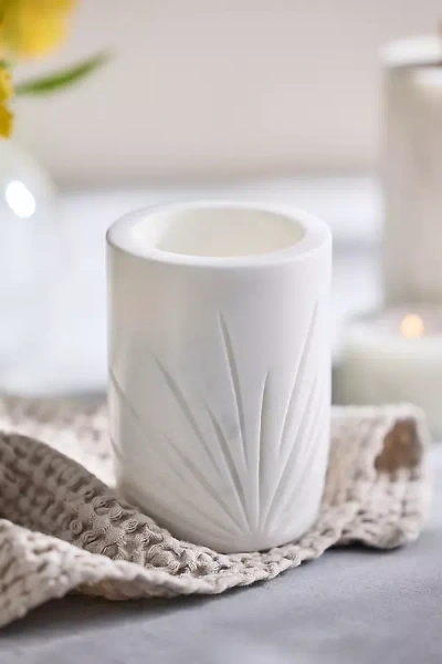 Terrain Aloe Etched Marble Bath Tumbler