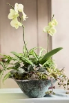 Terrain Aluminum Lotus Bowl Planter