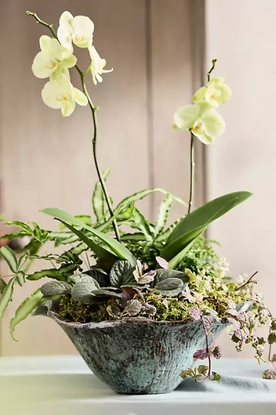 Terrain Aluminum Lotus Bowl Planter
