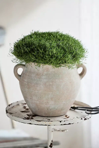 Terrain Amethyst Terracotta Amphora Planter In Gray