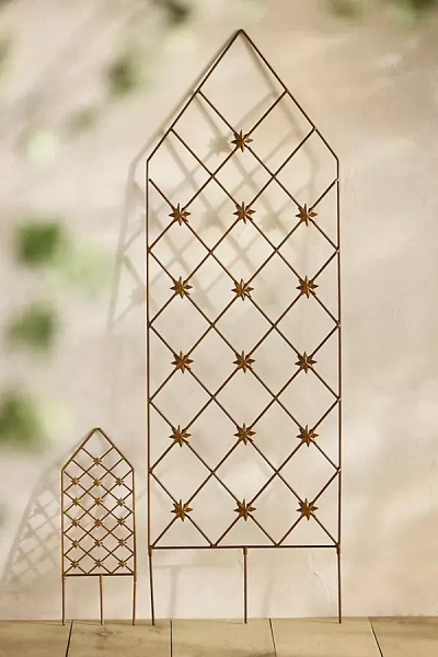 Terrain Antique Brass Moravian Star Trellis In Gold