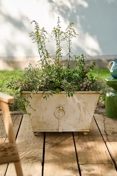 Terrain Antique Ivory Cast Iron Trough Planter, Large