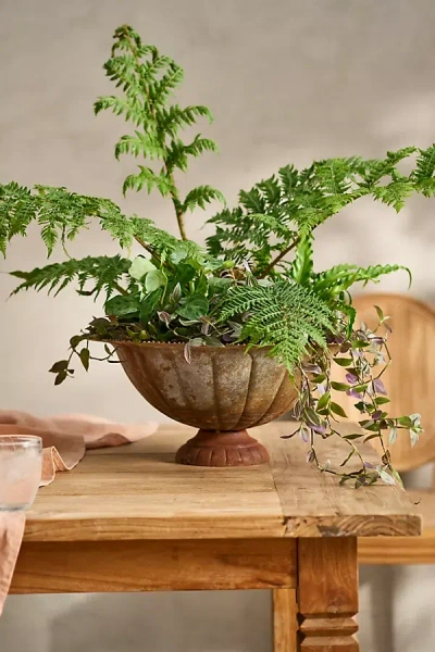 Terrain Antiqued Iron Low Urn Planter In Brown