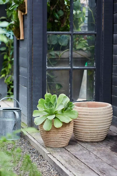 Terrain Antiqued Ring Ceramic Jar Planter In Sand