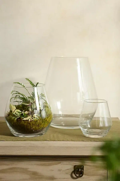 Terrain Arja Glass Terrarium