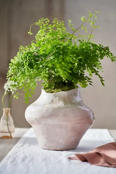 Terrain Asymmetric Glazed Terracotta Planter In White
