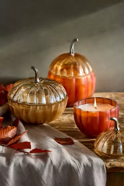 Terrain Autumn Bounty Glass Pumpkin Candle In Orange
