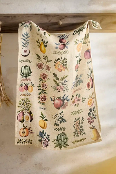 Terrain Autumn Bounty Linen Dish Towel In Multi