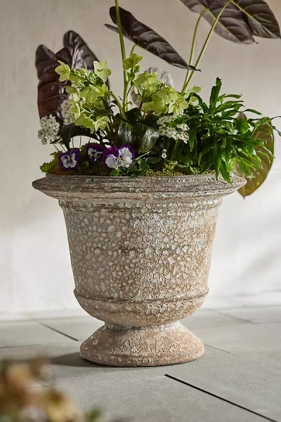 Terrain Barnacle Aeros Urn In Neutral
