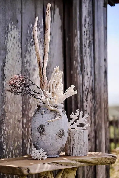 Terrain Barnacle Aged Terracotta Vase