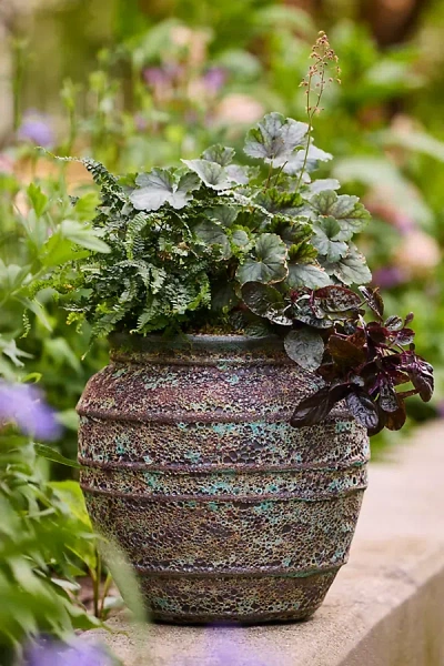 Terrain Barnacle Banded Olive Jar Planter