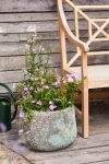 Terrain Barnacle Blue Planter