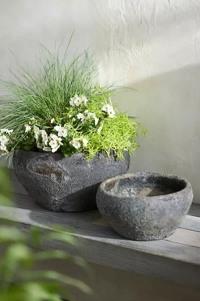 Terrain Barnacle Button Bowl Planter In Gray