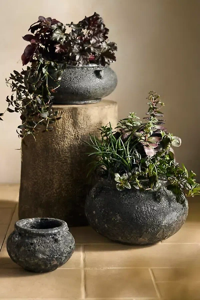 Terrain Barnacle Cauldron Planter