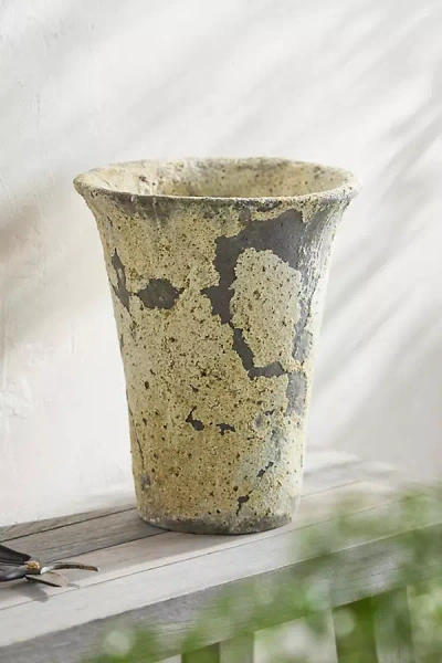 Terrain Barnacle Cone Planter, 11" In Multi