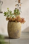 Terrain Barnacle Drum Planter, 11"