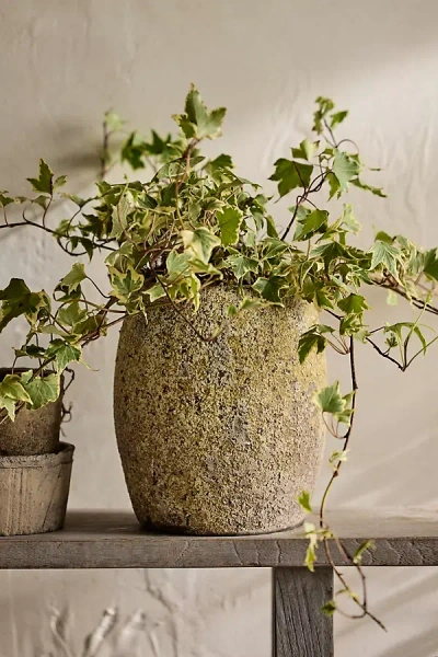 Terrain Barnacle Drum Planter, 7" In Green