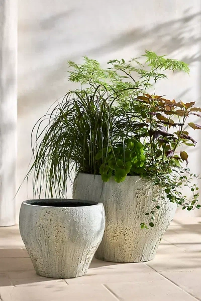 Terrain Barnacle Fiber Concrete Curved Jar Planter In Gray