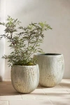 Terrain Barnacle Fiber Concrete Egg Planter