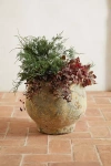 Terrain Barnacle Footed Pot