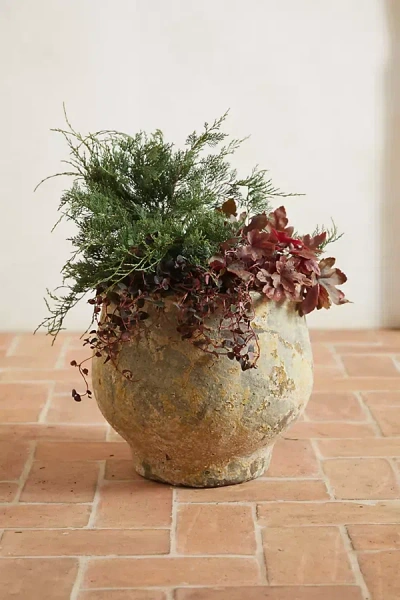 Terrain Barnacle Footed Pot