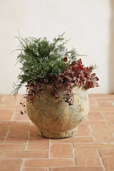 Terrain Barnacle Footed Pot In Gray