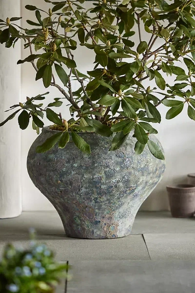 Terrain Barnacle Curved Jar Planter In Gray