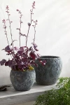 Terrain Barnacle Juliet Planter