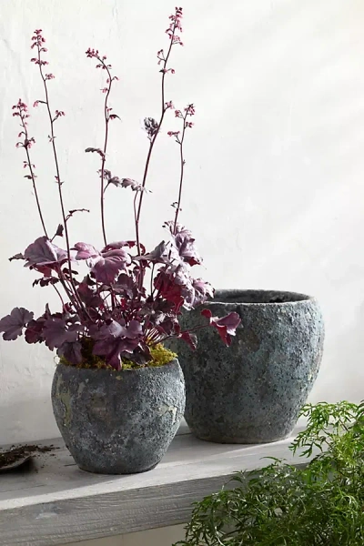 Terrain Barnacle Juliet Planter In Gray